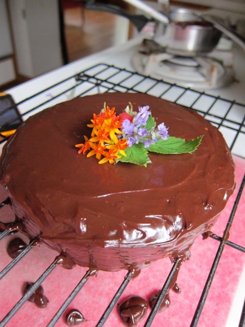 Chocolate Biscuit Cake 10
