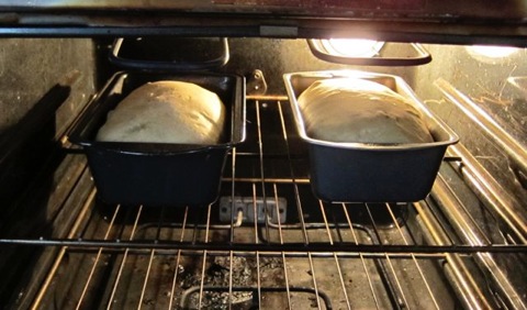 Coffee bread in oven