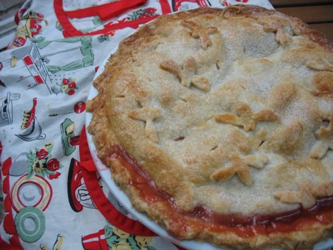 Nectarine pie outside 9