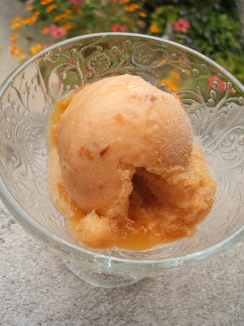 nectarine sorbet